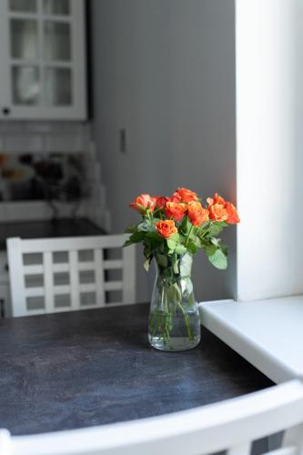 Apartament na Polnej