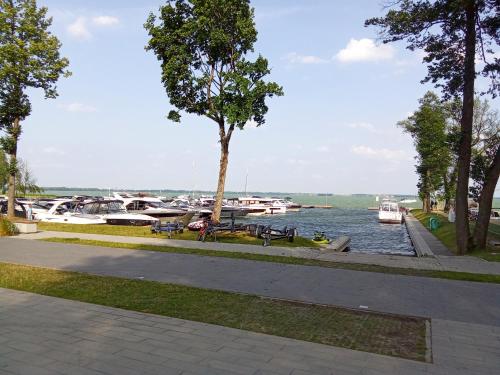 Apartament Pasaż 3