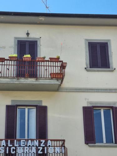 viola, Sansepolcro (foto 2)