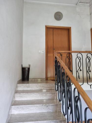 viola, Sansepolcro (foto 4)