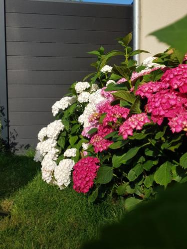 花園, L'échappée de Sologne -chez l'habitant- (L'echappee de Sologne -chez l'habitant-) in 拉莫特博弗隆