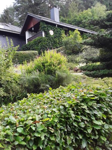 Kleines Haus am Wald in Rohrbach, Deutschland