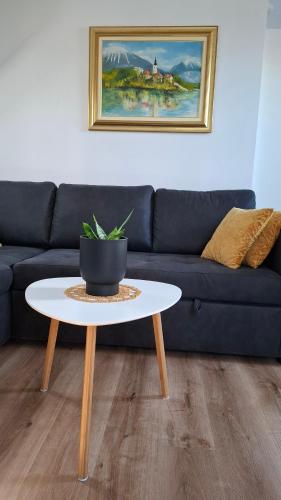 Apartma Harmonia with parking