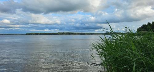 SeenSucht & Urlaubsträume, Ferienwohnung Strand-Geflüster, Senftenberg (zdjęcie 2)