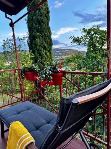 Family house in Strunjan