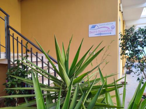 B&B Sant'Eufemia - image 12