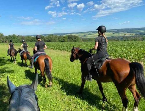Jahanje, Gîte équestre Au village 45 (Gite equestre Au village 45) in Courtedoux
