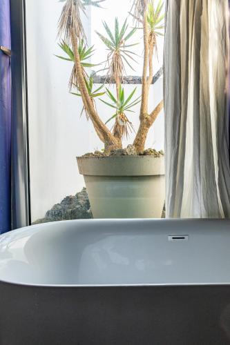 Pedra de Lava Azores-Quarto 2 in เฟเตย์รา