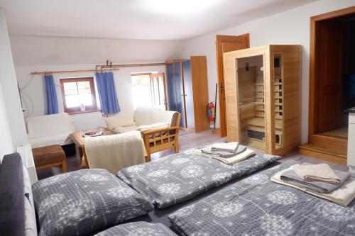 Apartments Habert in Horni Plana