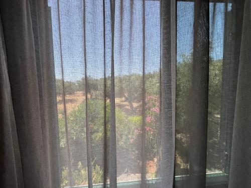 9 Muses Villas - image 9