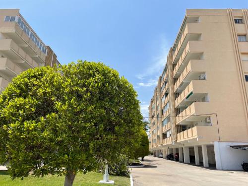 Ideal parejas Estudio Granadella en Jávea (Ideal parejas Estudio Granadella en Javea) in Javea