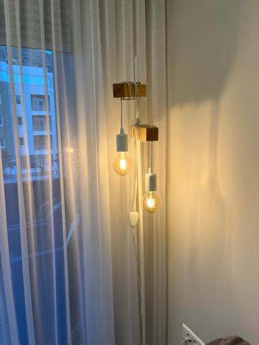 Luxury apartment Concept - image 13