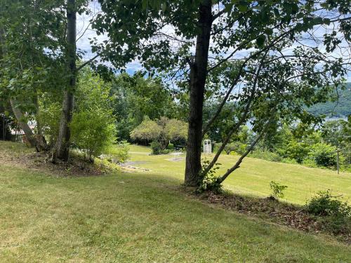 Keuka Lake Views and Hiking - image 9