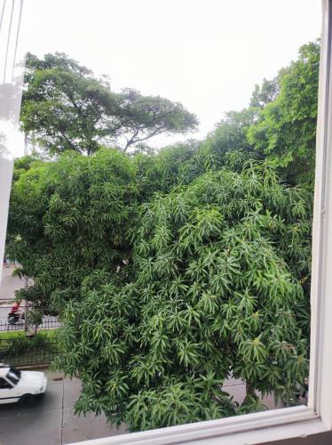 Apartamento en Cali - image 4