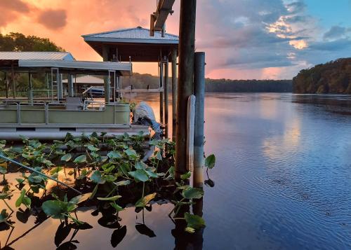 Otter Home in Chiefland, Vereinigte Staaten von Amerika