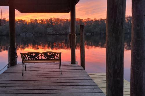 Otter Home in Chiefland, USA