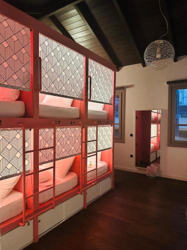 Pink Mango - image 14