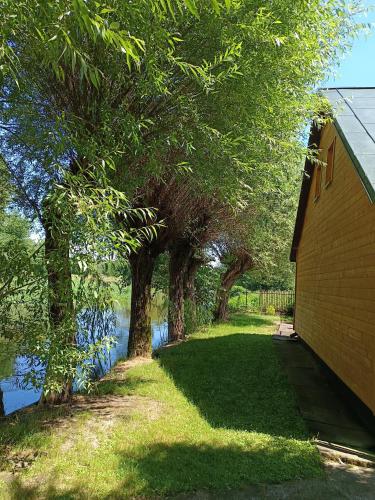 Domek nad Pisą