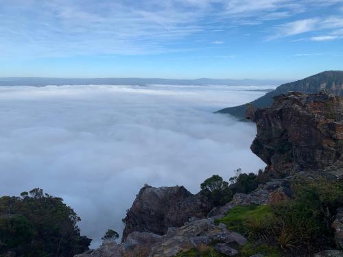 אטרקציות קרובות, Flying Fox Backpackers in בלו מאונטאינס