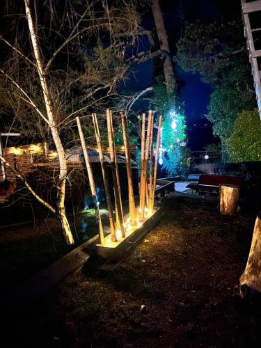 גינה, Flying Fox Backpackers in בלו מאונטאינס