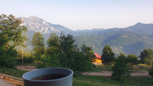 Mountain View Mountain View