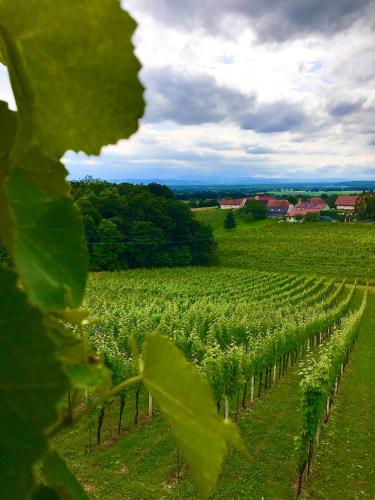  KUNSTOASE FÜR ROMANTIKER in Rudersdorf