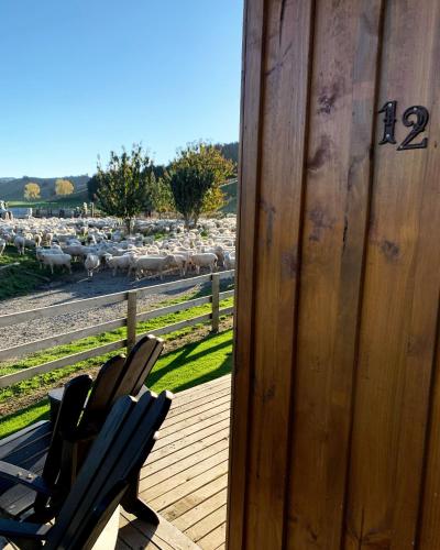 Ohingaiti Farm Cottage in มังกาเวคา