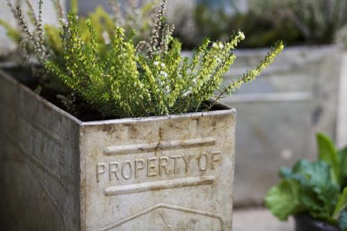 Pear Tree Inn Whitley - image 10