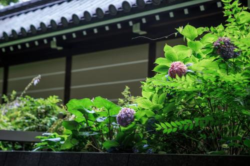 576006176 Hotel Okura Kyoto Okazaki Bettei -Age Requirement 12 over-
