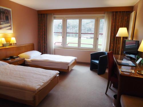 Hotel Le Cedre - image 3