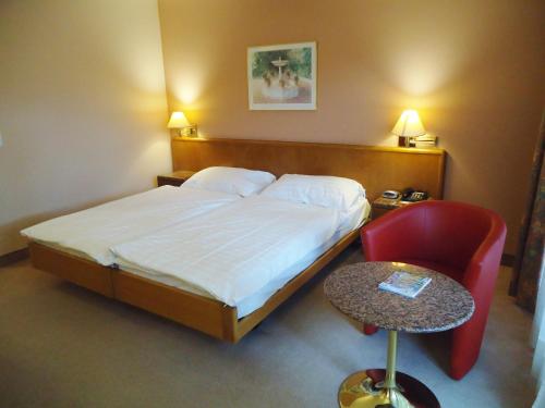 Hotel Le Cedre - image 13