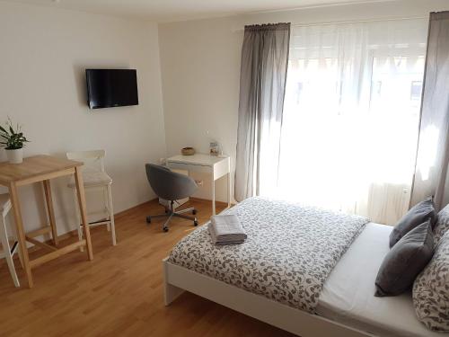 Studio Dresden Neustadt & parking, Drážďany (fotografie 9)
