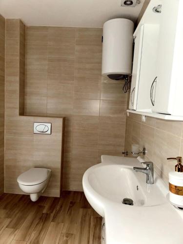 Blue Sutomore in Sutomore Town Center