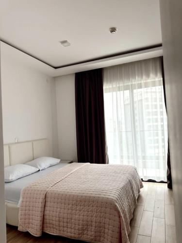 Blue Sutomore in Sutomore Town Center