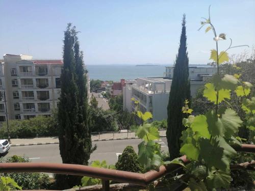 Apartment with Sea View image 8
