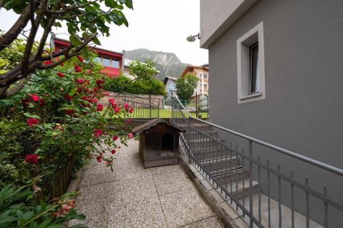 Casa Rosina