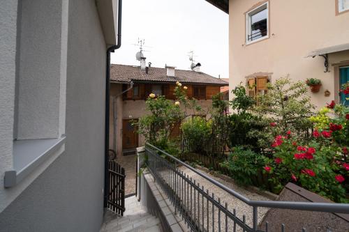 Casa Rosina