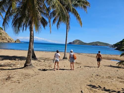Заобикаляща среда, Villa Célyote - Haut de villa, vue mer, à 150m de la plage Anse Figuier (Villa Celyote - Haut de villa, vue mer, a 150m de la plage Anse Figuier) in Terre-de-Haut