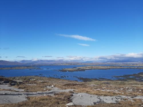 The Haven, Galway (foto 2)