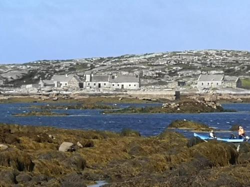 The Haven, Galway (foto 6)