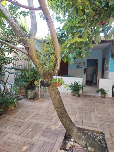 حديقة, Cantinho especial in Varzea