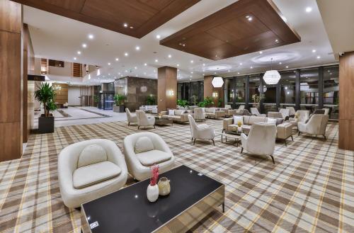 Krogs/atpūtas telpa, Narven Wellness & Thermal Hotel in Demirciler