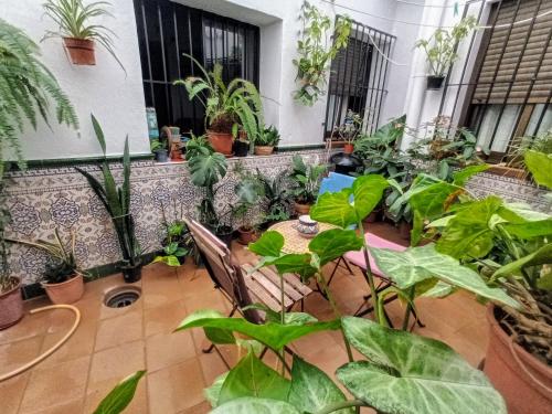 Casa Lareymora