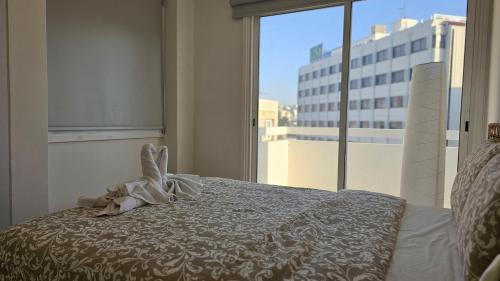 Apartment image 10