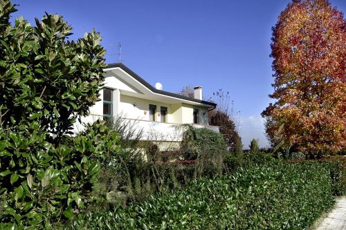 Affitto Breve Rovigo La Casa sul Grande Fiume Po di Nadine in Guarda Veneta