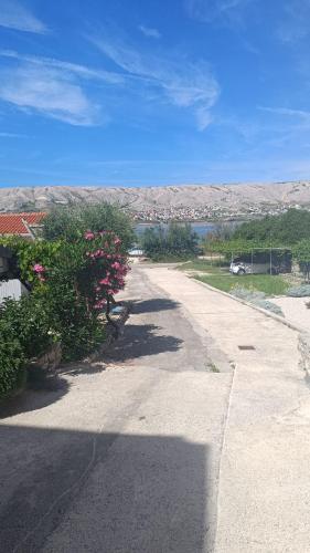 Apartmani Leonidas Pag - Location saisonnière - Pag
