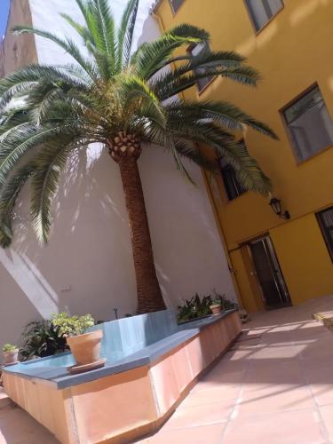 Oasis City Center by Málaga Planners, Málaga (photo 8)
