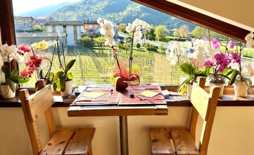 Ēdiens un dzērieni, B&B Valtellina Mon Amour in Piateda