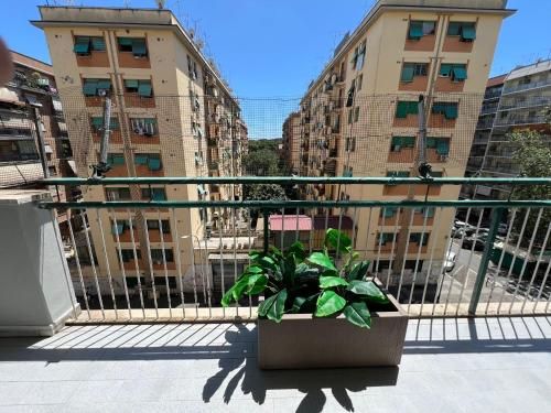 Luciano Queen's Guest House - image 8