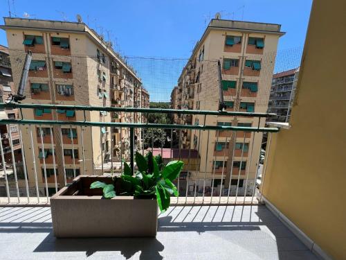 Luciano Queen's Guest House - image 12